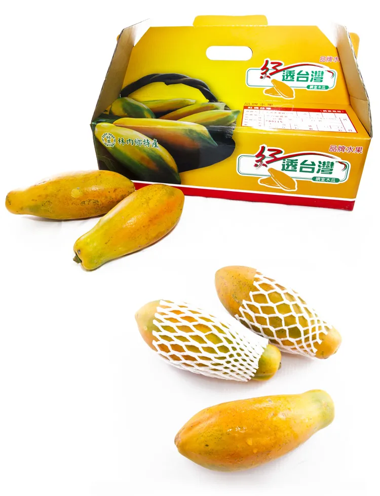 紅透台灣木瓜